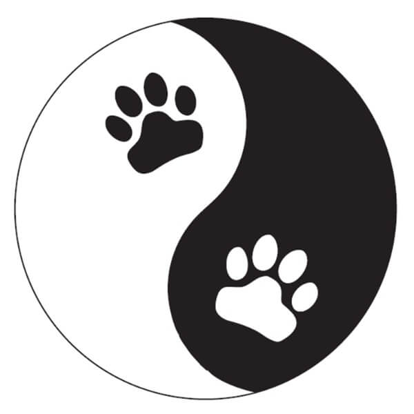 Instant Tags - Dog, Cat & Human ID Tags