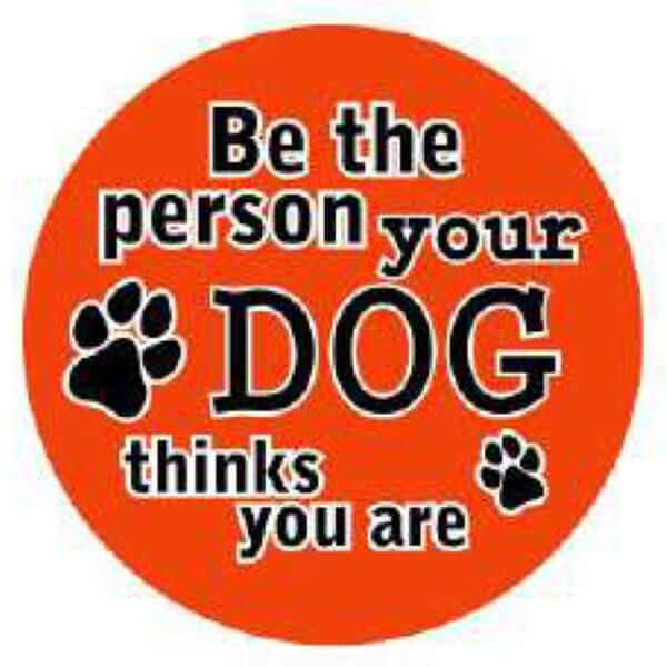 Instant Tags - Dog, Cat & Human ID Tags