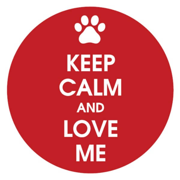 Instant Tags - Dog, Cat & Human ID Tags