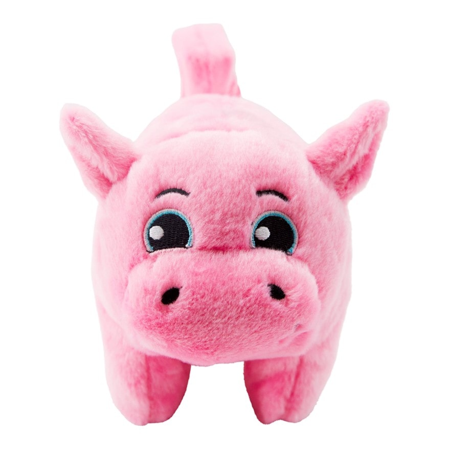 Charmingpet Dog Toy Poppers