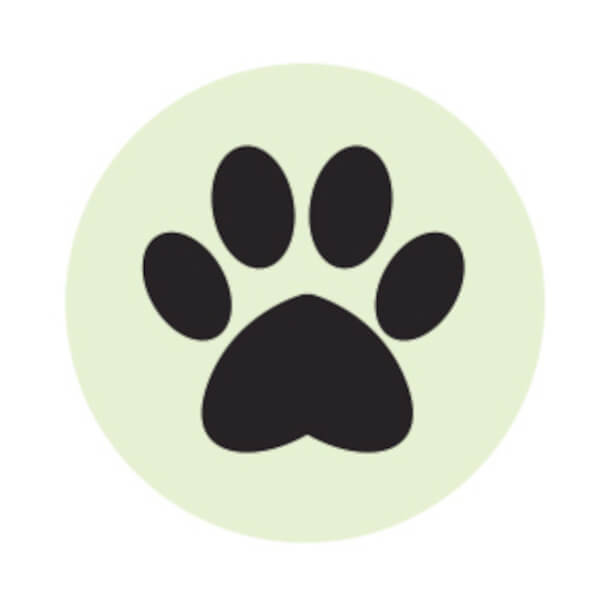 Instant Tags - Dog, Cat & Human ID Tags