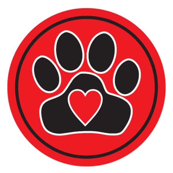 Instant Tags - Dog, Cat & Human ID Tags