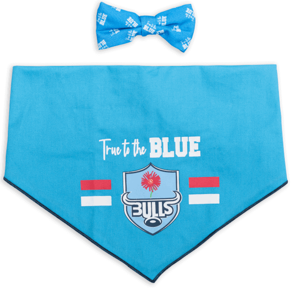 Dog's Life Official Licensed Blue Bulls Bow & Bandana Set