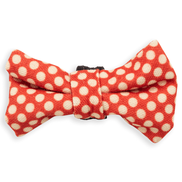 Dog's Life Red Retro Polkadots Bow Tie
