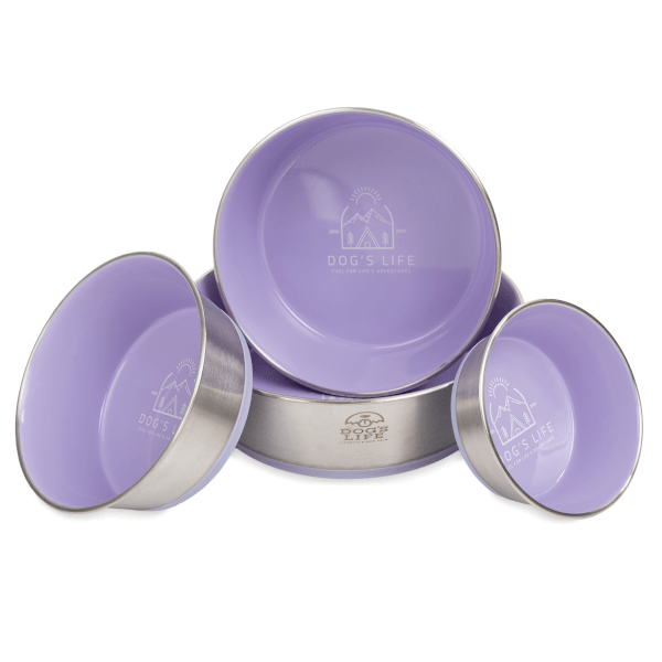 Dog's Life Fuel For Adventures Stainless Steel Bowl