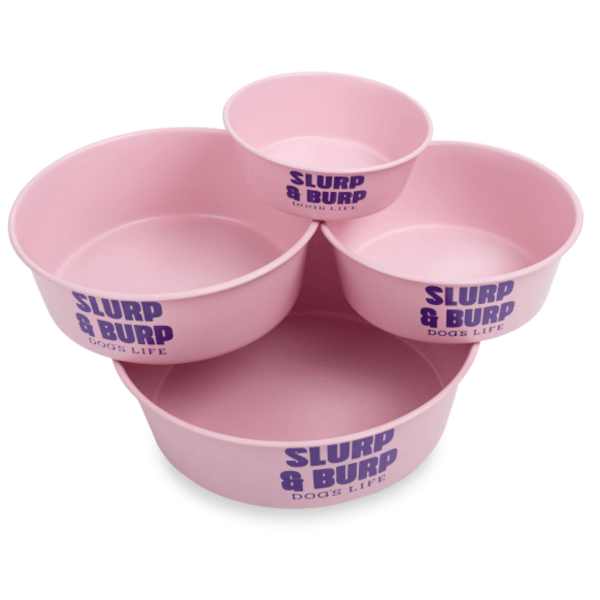Dog's Life Slurp & Burp Stainless Steel Bowl