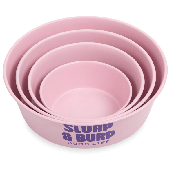Dog's Life Slurp & Burp Stainless Steel Bowl