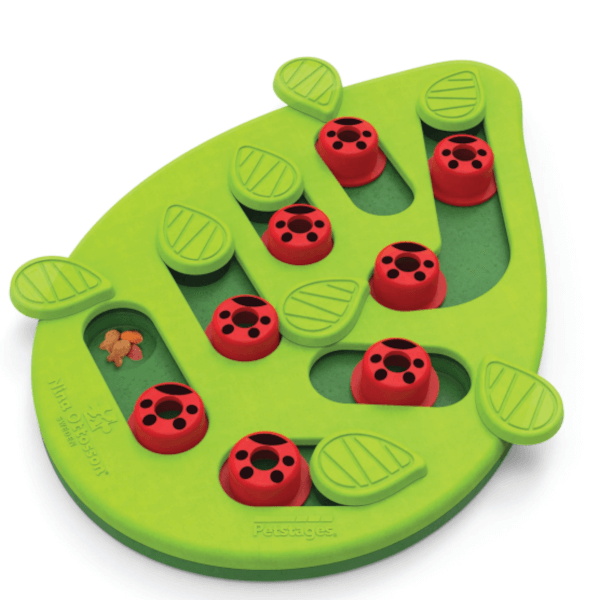 Nina Ottoson Buggin Out Puzzle n Play Cat Toy