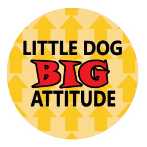 Instant Tags - Dog, Cat & Human ID Tags