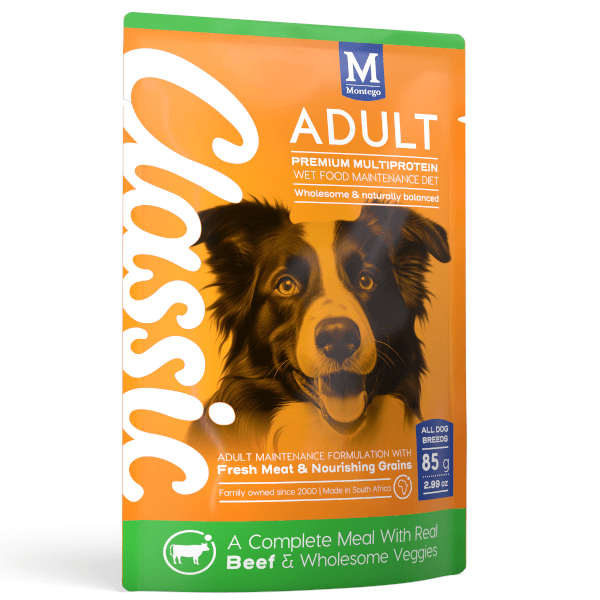 Montego Classic Adult Dog Wet Food