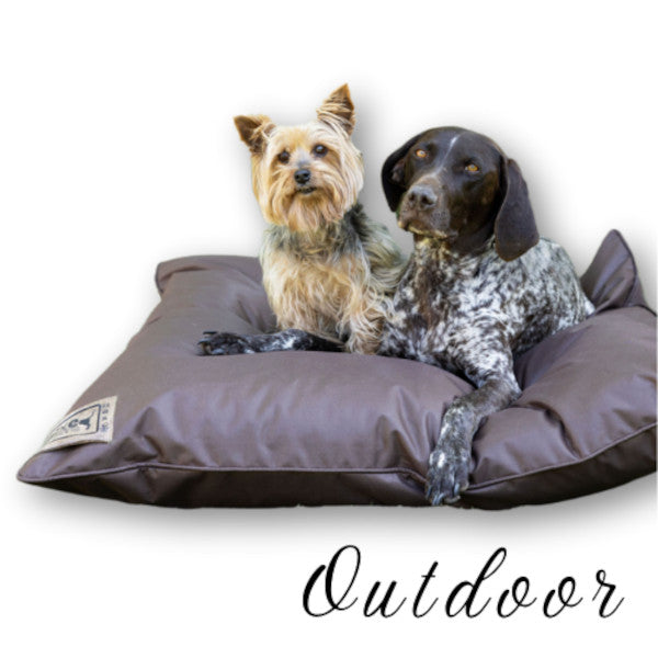 Noble Companion & Co The Canine Cloud Outdoor