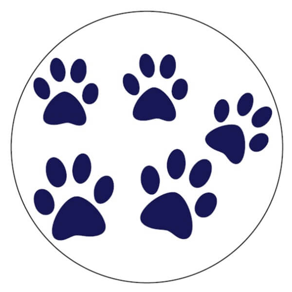 Instant Tags - Dog, Cat & Human ID Tags