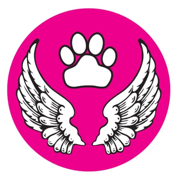 Instant Tags - Dog, Cat & Human ID Tags