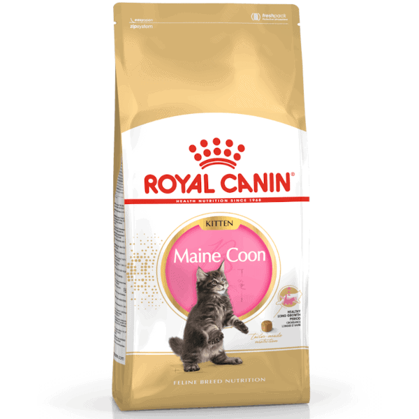 Royal Canin Maine Coon Kitten
