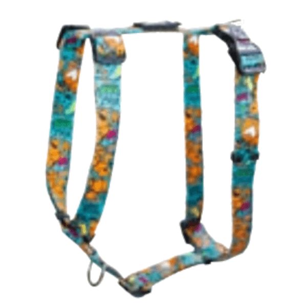 Rogz Fusion Classic H-Harness
