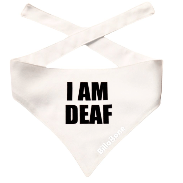 Billabone I Am Deaf Bandana