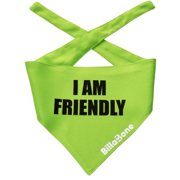 Billabone I Am Friendly Bandana