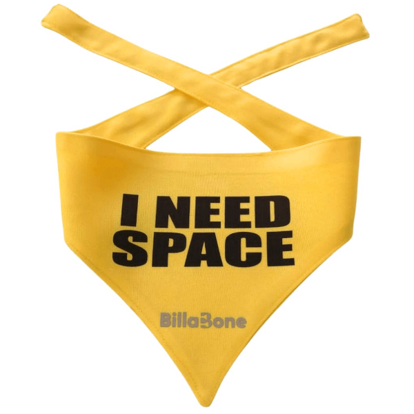 Billabone I Need A Space Bandana