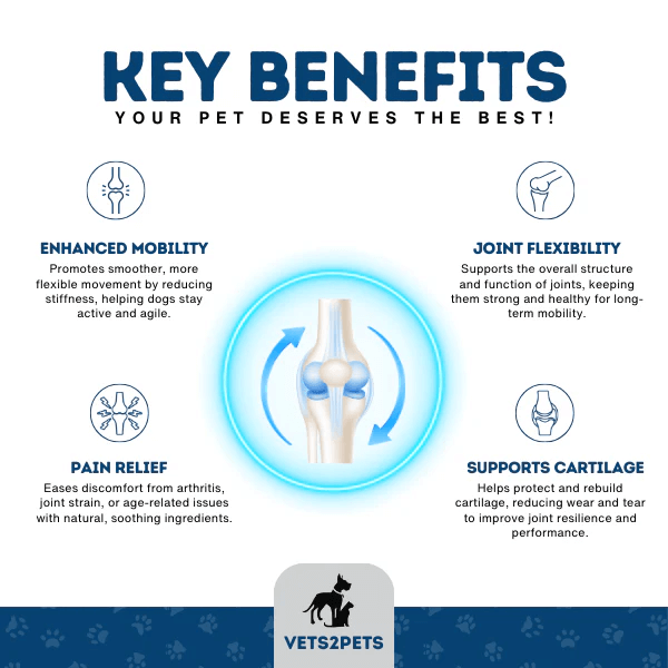 Vets2Pets Premium Joint Support Powder