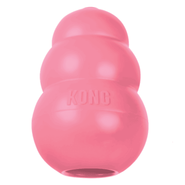 Kong Puppy Toy
