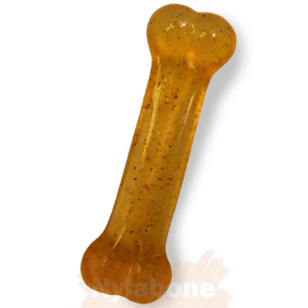 Nylabone Puppy Teething Bone