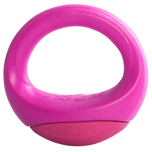 Rogz Pop-Upz Fetch Toy