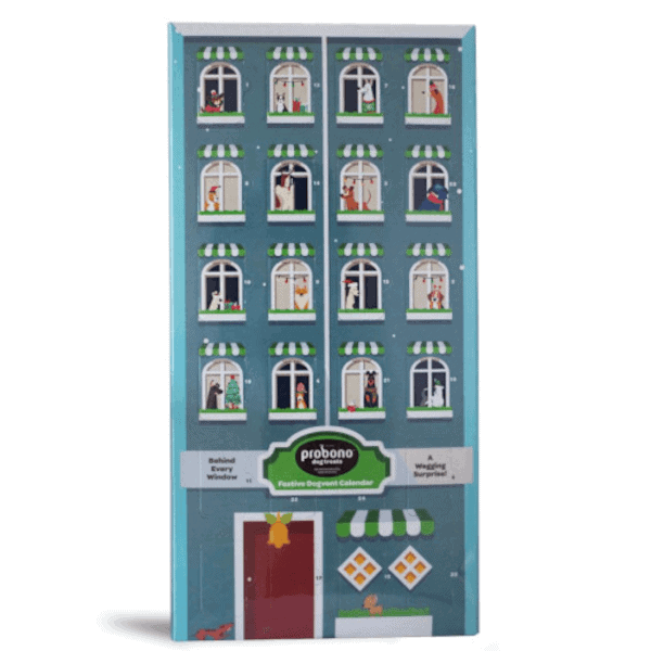 Probono Iced Advent Calendar