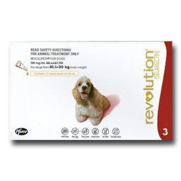 Revolution for Dogs