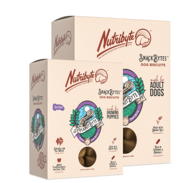 NutriByte SnackBytes