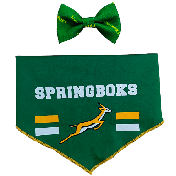 Dog's Life Officially Licenced Springboks Bow Tie & Bandana