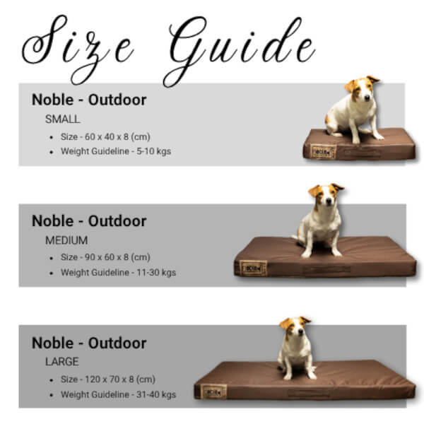 Noble Companion & Co The Wild Napper