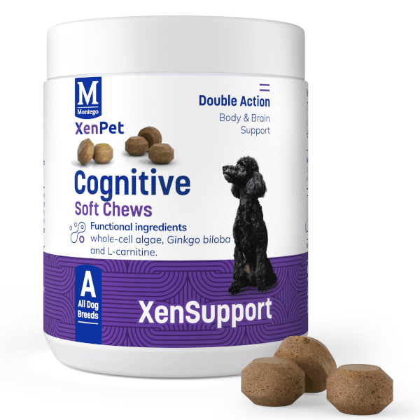 Montego XenPet Cognitive Chews