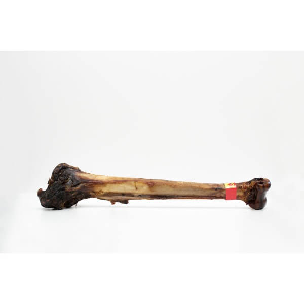 Mbuni Ostrich Cave Man Bone