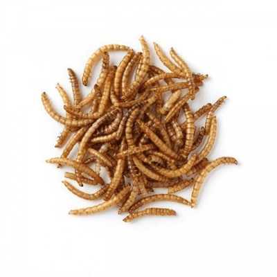 Dried Mealworms 200g