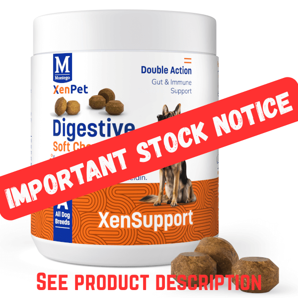 Montego XenPet Digestive Dog Supplements