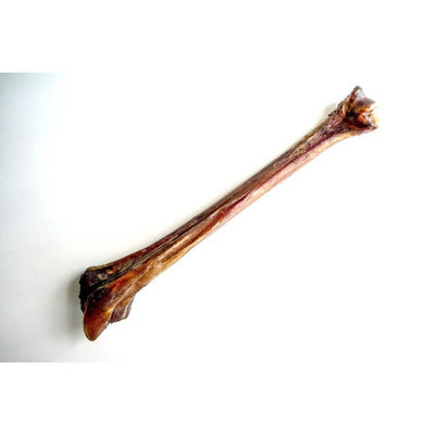 Mbuni Ostrich Mini Cave Man Bone