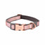 Rogz Urban Classic Collar