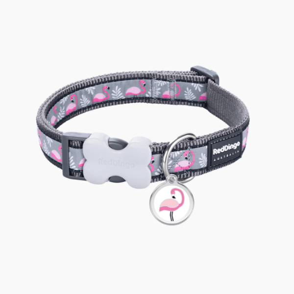 Red Dingo Pet Adventure - Design Dog Collars