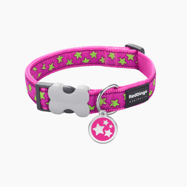 Red Dingo Pet Adventure - Design Dog Collars