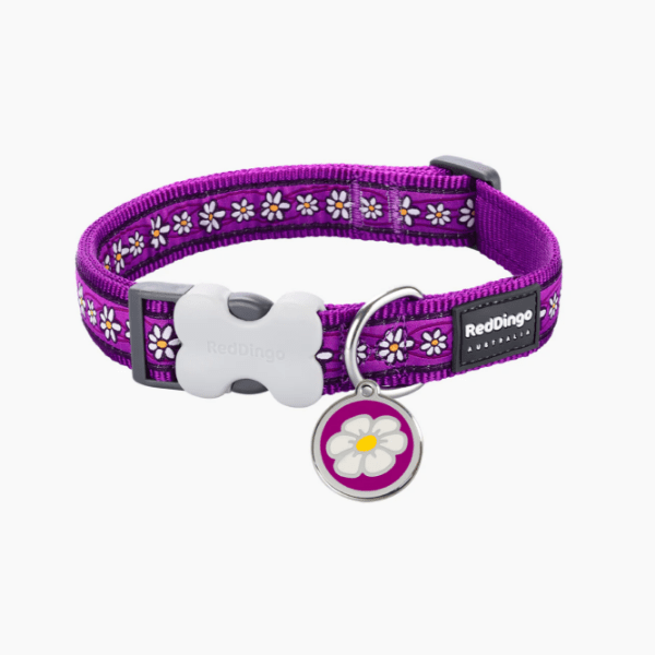 Red Dingo Pet Adventure - Design Dog Collars