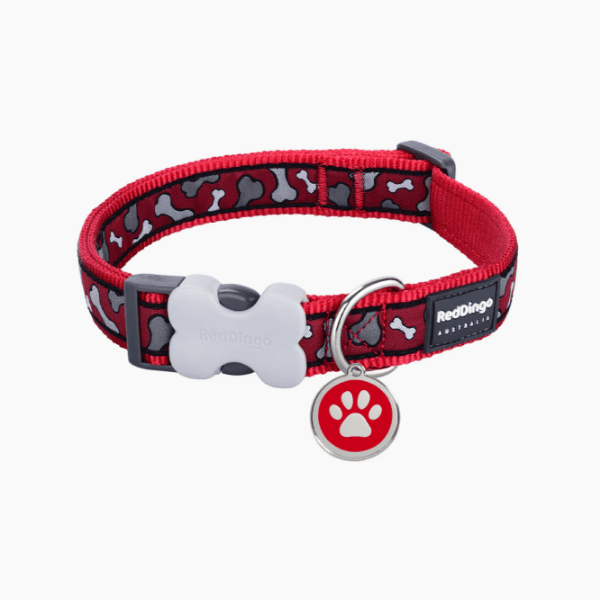 Red Dingo Pet Adventure - Design Dog Collars