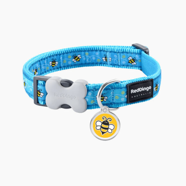 Red Dingo Pet Adventure - Design Dog Collars