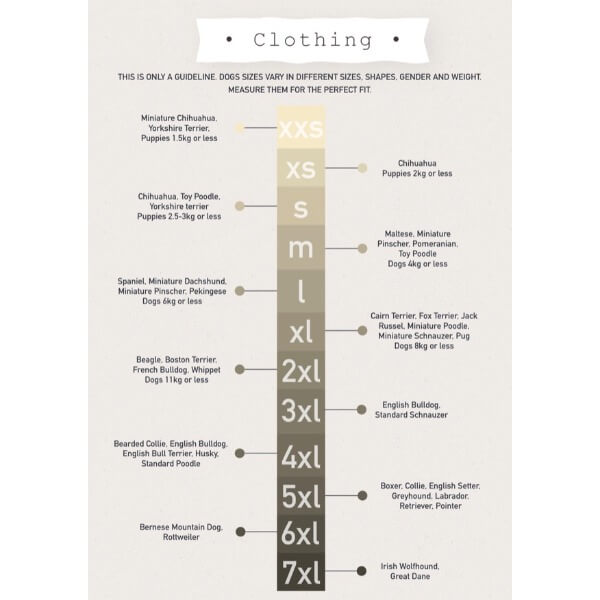 Dog's Life Calories Don't Count Xmas Tee