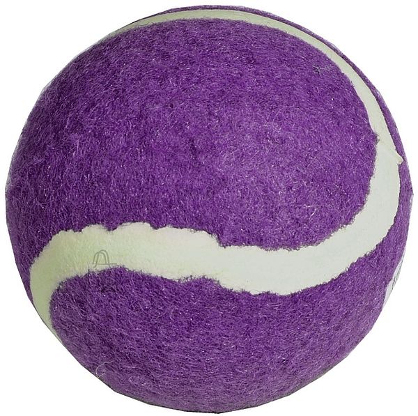 Squeaker Tennis Ball 4"