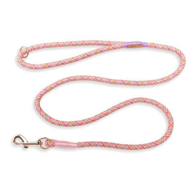 Dog's Life Creative Cords Leashes