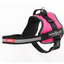 Dog's Life Active No Pull Control Handle Harness