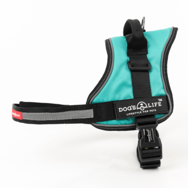 Dog's Life Active No Pull Control Handle Harness