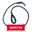 Billabone Lead Covers