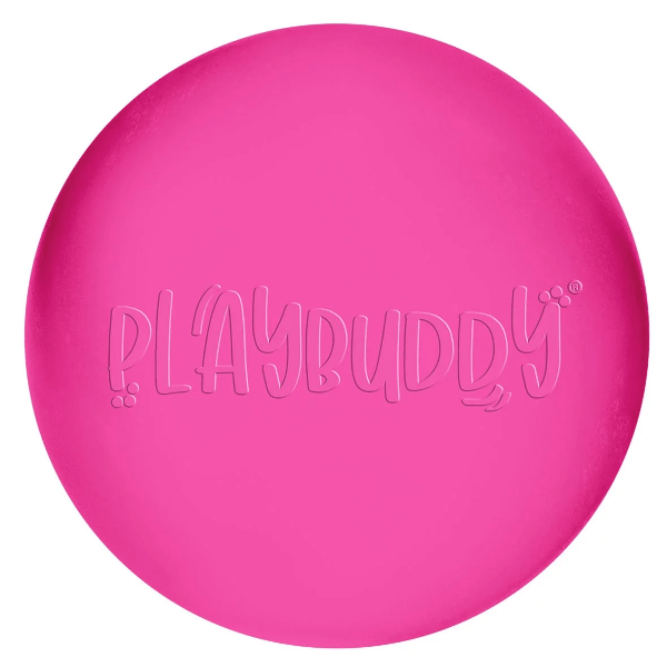 Playbuddy Rubber Ball Toy