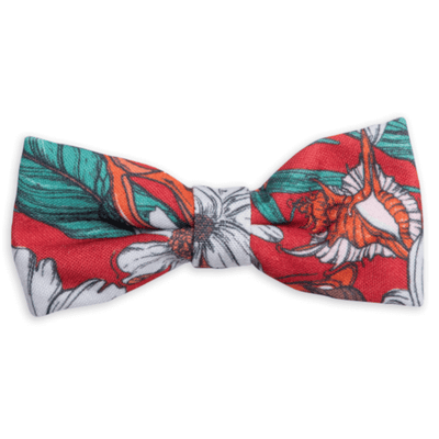 Dog's Life Festive Flower Bow Tie